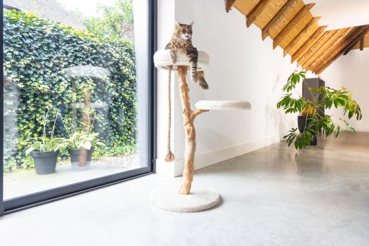 Echtholz Kratzbaum VILJA 110cm - Designed by Lotte - für Katzen bis 10kg